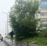 В Петропавловске мальчик на велосипеде попал под машину, выезжая со двора - ИА Кам 24