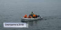 "Попался необычный вид": приморские ученые вернулись из морской экспедиции во Владивосток - ГТРК Владивосток