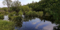 Выход воды на пойму Анета  Абрамченко, ИА ChitaMedia - ChitaMedia
