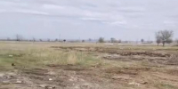 Управление Россельхознадзора по Красноярскому краю - НИА