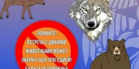 Правила поведения с дикими животными. - Каратузский район