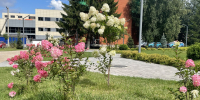 Погода в Бугульме 11 августа - Бугульминская газета