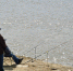 В Курганской области уровень воды в Исети поднялся на 4 сантиметра - Область 45
