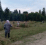 Жители одной из деревень в Удмуртии вышли на совместный покос травы, чтобы очистить дорогу - Сусанин