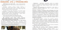 Внимание, африканская чума свиней - Бердюжье Медиа