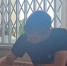 21-летнего жителя Марий Эл осудили на пять лет за смертельное ДТП - Марийская правда