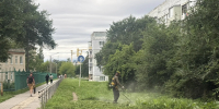 Повседневная уборка. - Городской округ Большой Камень