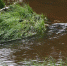 Тело утонувшего мужчины выловили в Исети под Каменском-Уральским - Фото 1 - JustMedia
