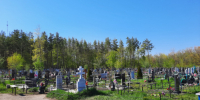 Одно из кладбищ Сызрани обработают специальными веществами - КТВ-ЛУЧ