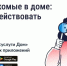 🐜 Борьба с насекомыми в многоквартирном доме. - Волоконовский муниципальный округ