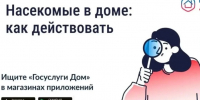 🐜 Борьба с насекомыми в многоквартирном доме. - Волоконовский муниципальный округ