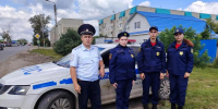 За семь месяцев 2026 года при участии бойцов «Тигра» пресечено более одной тысячи правонарушений - Правительство