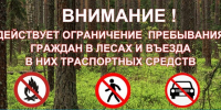 Внимание: ограничение на посещение лесов! - Грязинский район