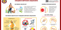 О мерах профилактики клещевого вирусного энцефалита - Роспотребнадзор Чувашии