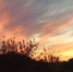 В Оренбургской области в результате атаки БПЛА произошло возгорание на предприятии - DonDay.Ru