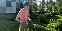 Лето с пользой: шадринские школьники участвуют в отработке - Shadr.Info