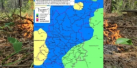 Сводка пожароопасности на 10.08.2026 - Министерство лесного хозяйства