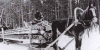 Лесной вопрос и заготовка дров по Уставной грамоте 1862 года - Городской музей