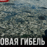 Массовая гибель рыбы под Рыбинском. Кто за это ответит? - Справедливая Россия