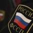 Арест авто заставил челябинца выплатить компенсацию семье мальчика, пострадавшего от нападения собаки - Агентство новостей Доступ