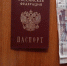 В Курской области мужчину осудили за попытку дать взятку полицейским - Курская правда