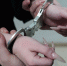 Две кемеровчанки раскидали мебель из окна квартиры после ссоры с арендодателем - Газета Комсомольская правда