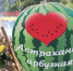 КаспийИнфо. Новости Астрахани и региона - KaspyInfo.Ru