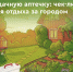 Собираясь на дачу, не забудьте аптечку! - Управление физкультуры и спорта