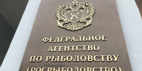 На Мурмане под инвестквоты добавили объёмы краба - SeverPost.ru