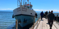 Спасённый на Байкале изюбрь Гриша обрёл новый дом в Иркутске - Заповедное Прибайкалье