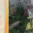 InShot_20260811_101733861 - ЗА Новомосковск