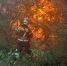 IMG_20260811_093028 - OrelTimes.Ru