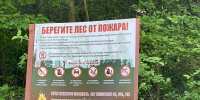 Вчера в Новороссийске ликвидировали лесной пожар - Газета Новороссийский рабочий