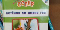 Фото: МБУК ЦБС г. Гусь-Хрустальный; Оформл. серии С. Меркулов - Библиотечный информационный центр