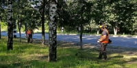 Уборка города, покос травы, установка дорожных знаков – 11 августа - Город Ковров