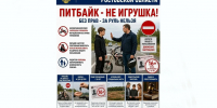 СОХРАНИТЕ САМОЕ ДОРОГОЕ: ПРОКУРАТУРА РОСТОВСКОЙ ОБЛАСТИ ИНФОРМИРУЕТ - Шахтинский институт (филиал) ЮРГПУ НПИ