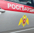 В Калуге росгвардейцы задержали молодого человека, повредившего имущество в двух частных домовладениях - Росгвардия