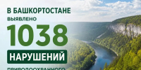 В Башкирии выявлено 1038 нарушений природоохранного законодательства - Аургазинский вестник