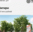 Долгий путь к победе: заветные гранты получили проекты двух округов Приамурья - Teleport2001.Ru
