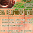 В Кемерове стартовал приём заявок на фестиваль «День кедровой шишки» - Администрация города