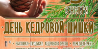 В Кемерове стартовал приём заявок на фестиваль «День кедровой шишки» - Администрация города