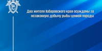 Два жителя Хабаровского края осуждены за незаконную добычу рыбы ценной породы - Следственный комитет