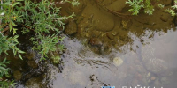В районе Бурятии резко поднялся уровень воды - ИА Байкал-Daily