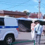 Власти Истры обнаружили десятки незаконных торговых точек - Истра.РФ