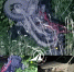 wjHPzf9bB3Ae109JaiOu2bC8spY7uRoJH-L7qv2JAqbEeYztbGowl5OPyAqBNEwE9C4YqV97UZFLx_xgQU7fvURq.jpg - Ozersk74.Ru