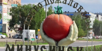 minusinsk pomidor - НИА