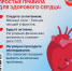 . - Выборгский район