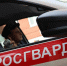 Сотрудники Росгвардии задержали подозреваемого в грабеже из супермаркета  в Лаишевском районе Татарстана - Росгвардия