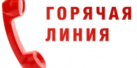 Организована горячая линия. - Мишкинский муниципальный округ