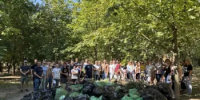 Сотрудники департамента по делам казачества привели в порядок «Берёзовую Рощу» и парк имени Островского после урагана - Департамент по делам казачества и кадетских учебных заведений